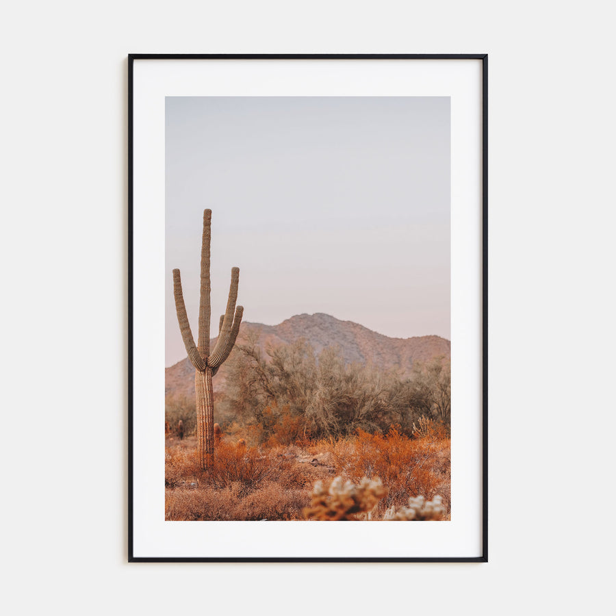 Sonora Photo Color Poster
