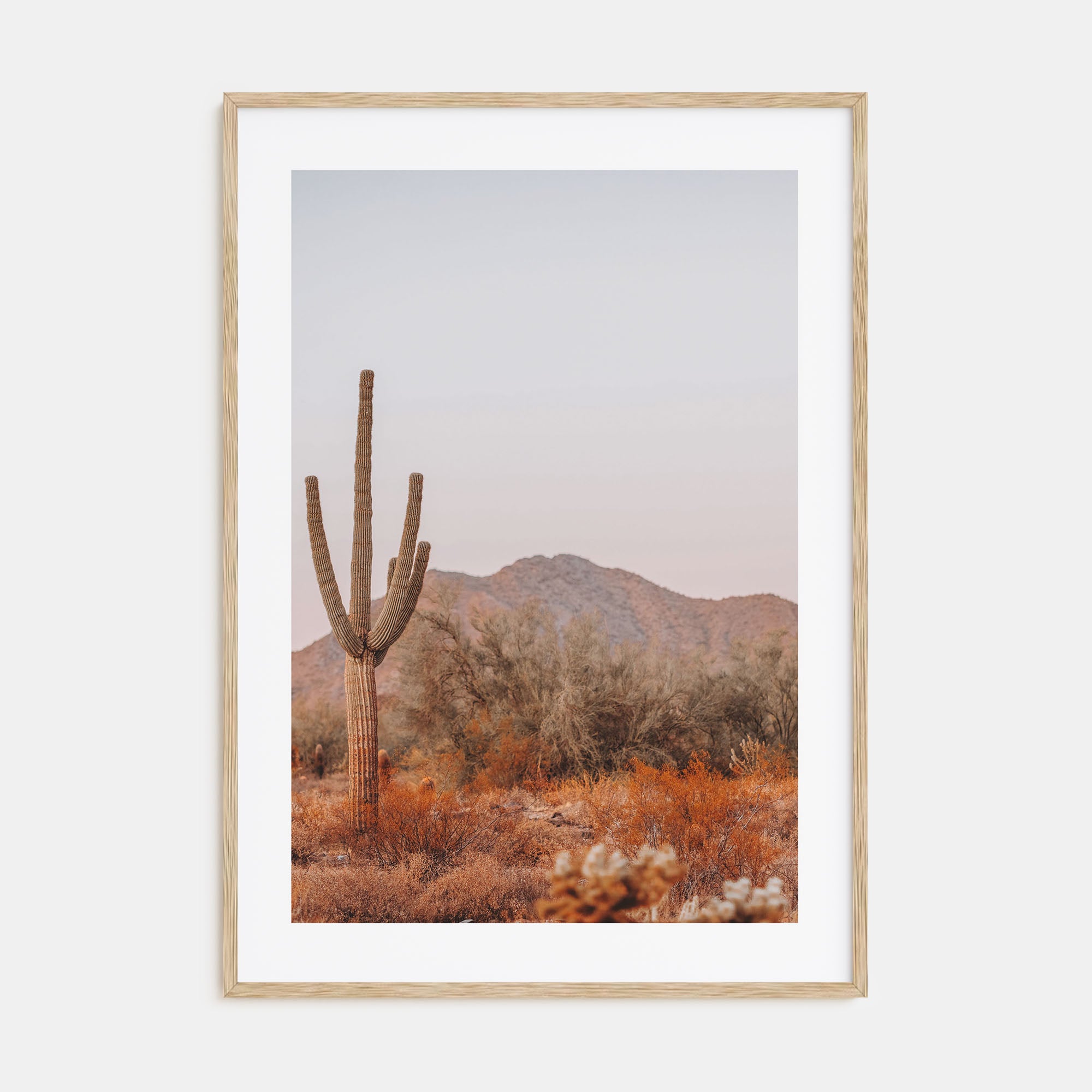 Sonora Photo Color Poster