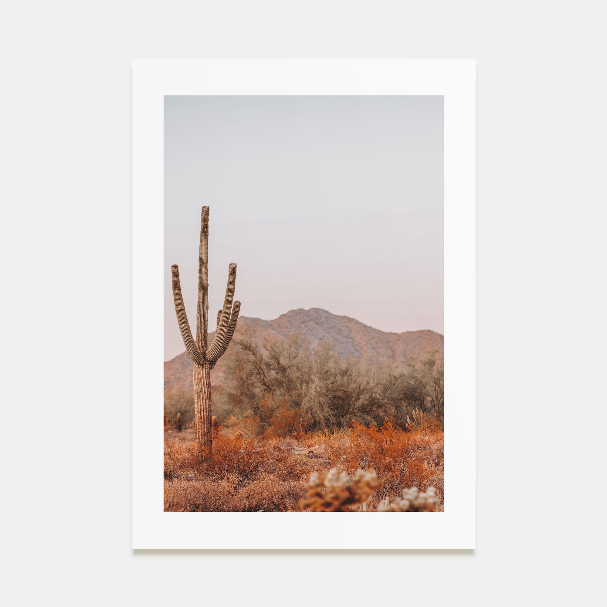 Sonora Photo Color Poster