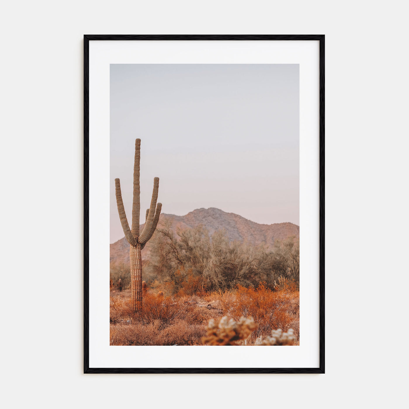 Sonora Photo Color Poster