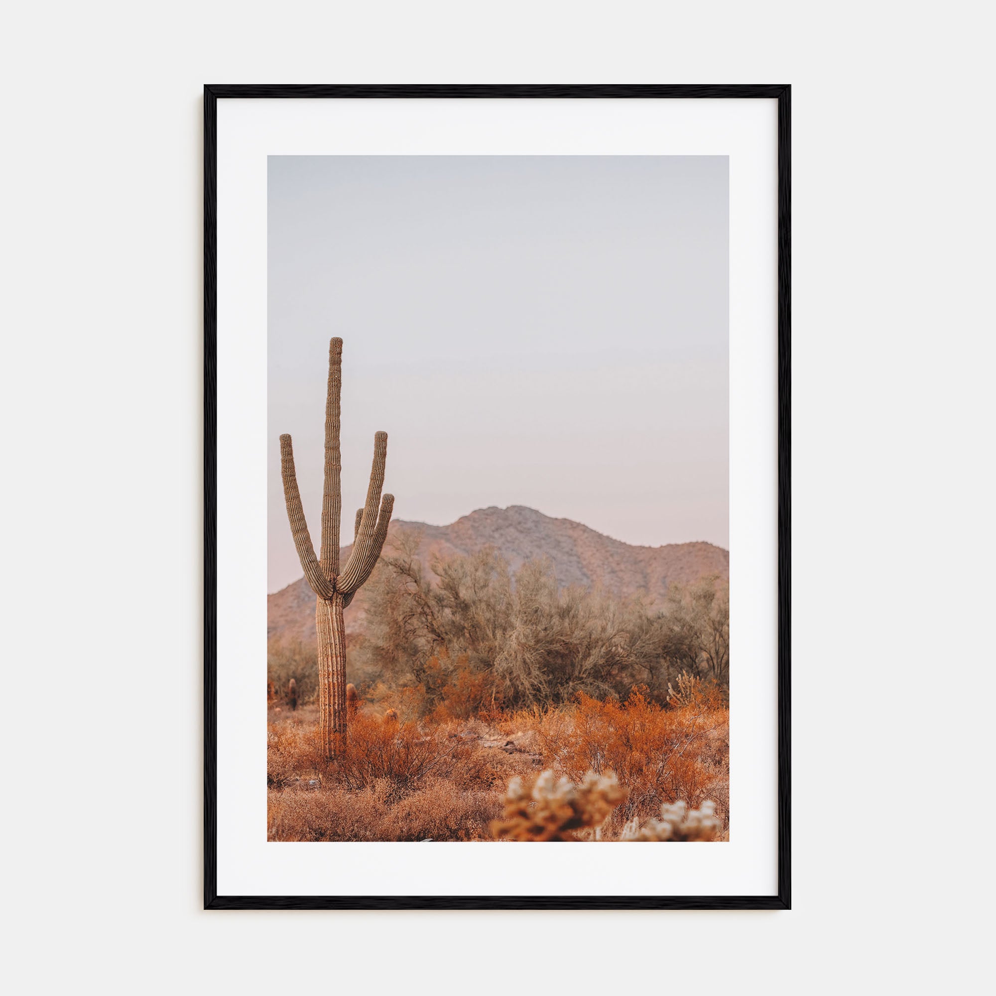 Sonora Photo Color Poster