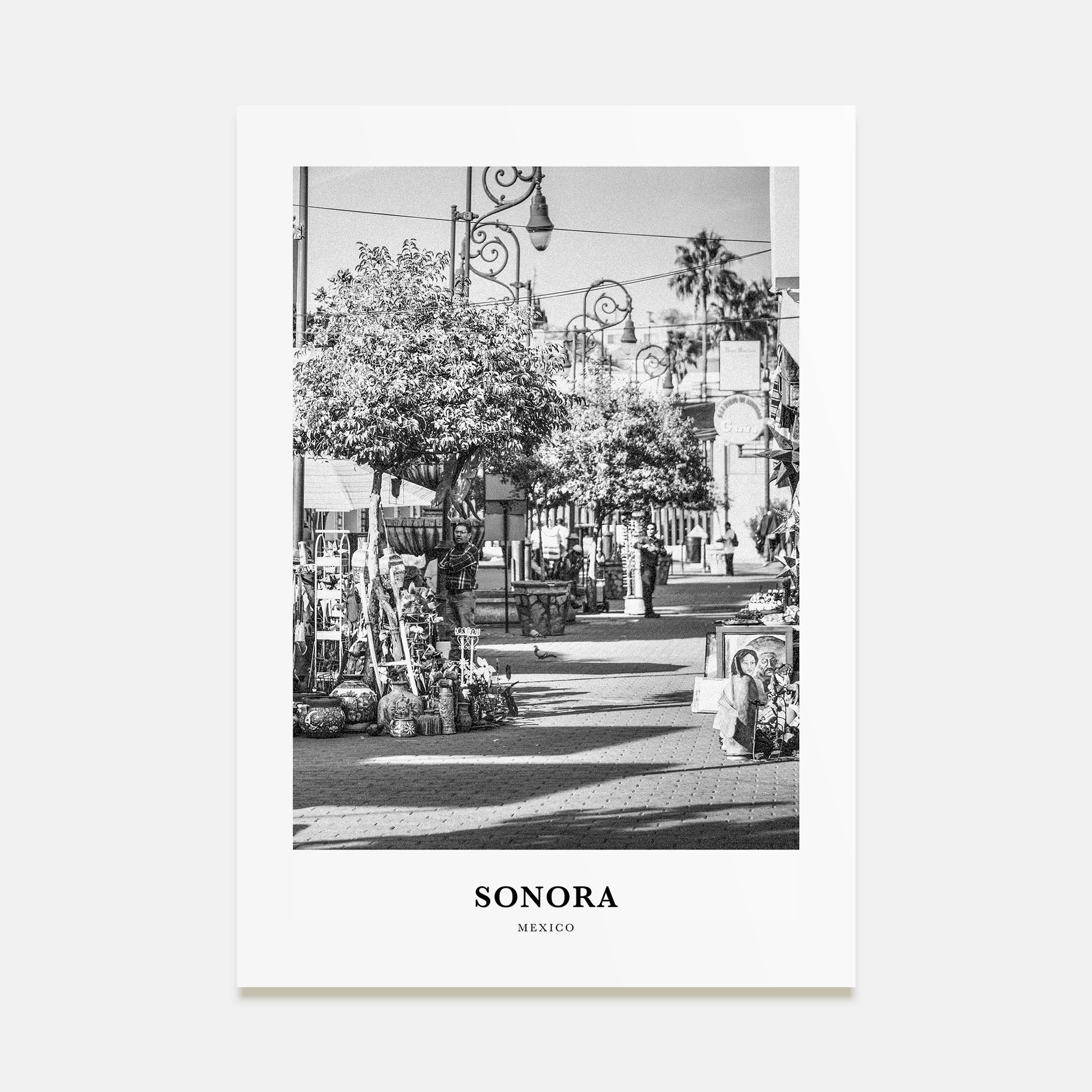 Sonora Portrait B&W Poster