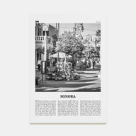 Sonora Travel B&W Poster