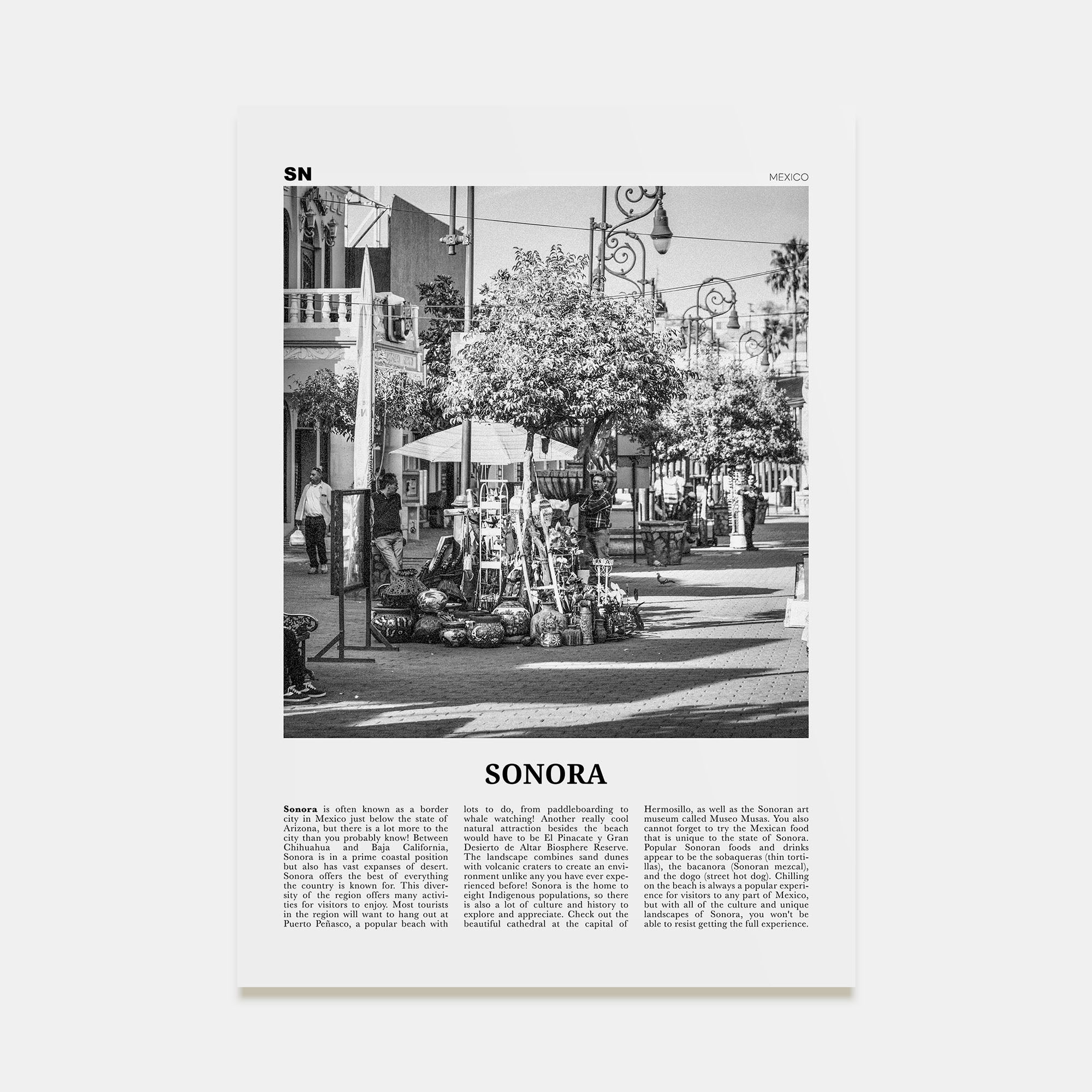 Sonora Travel B&W Poster