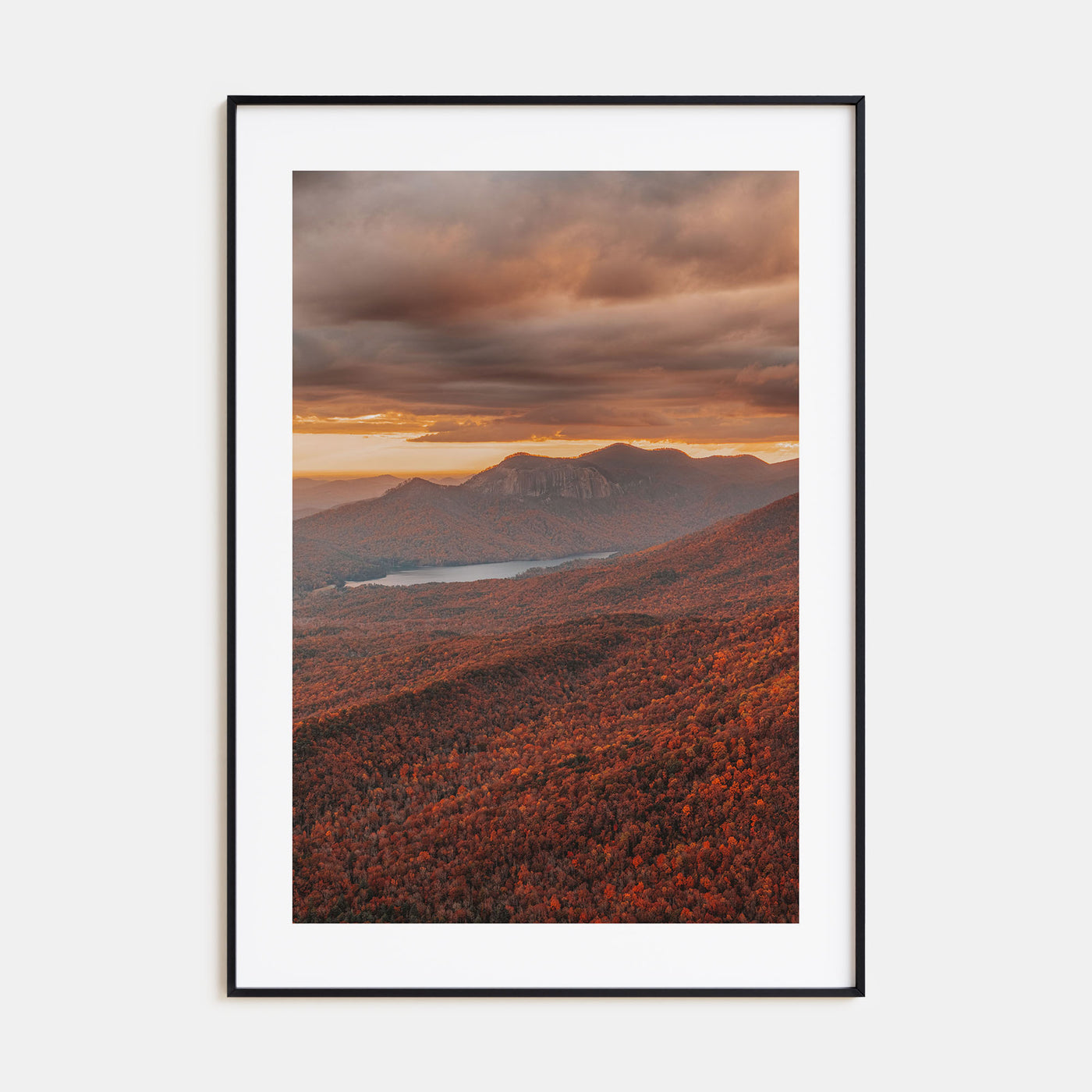 South Carolina Photo Color No 3 Poster