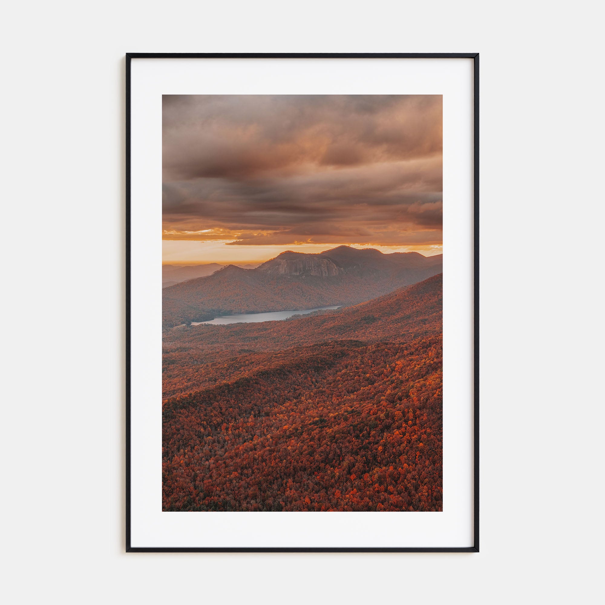 South Carolina Photo Color No 3 Poster