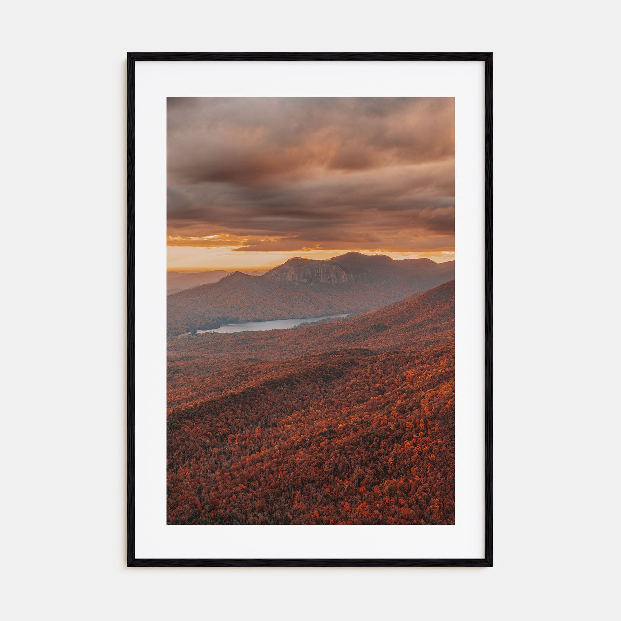 South Carolina Photo Color No 3 Poster
