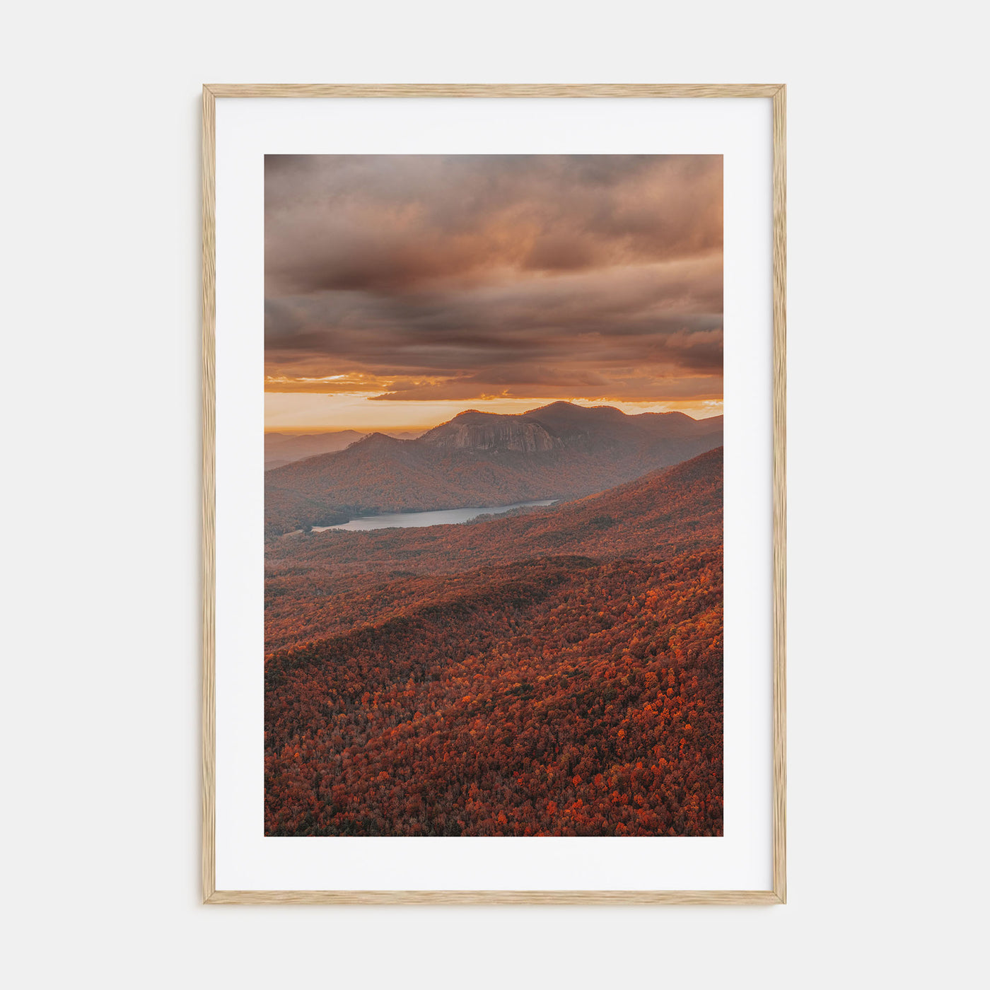 South Carolina Photo Color No 3 Poster