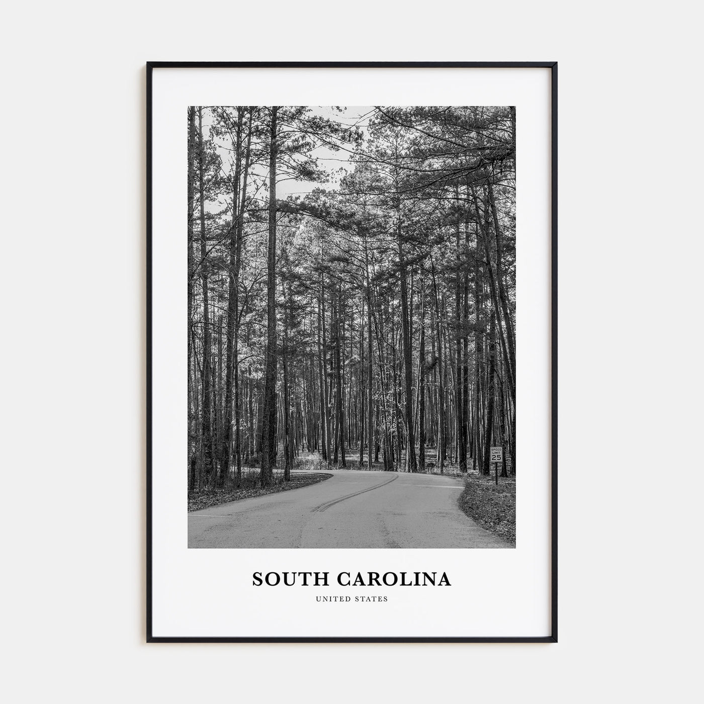 South Carolina Portrait B&W Poster