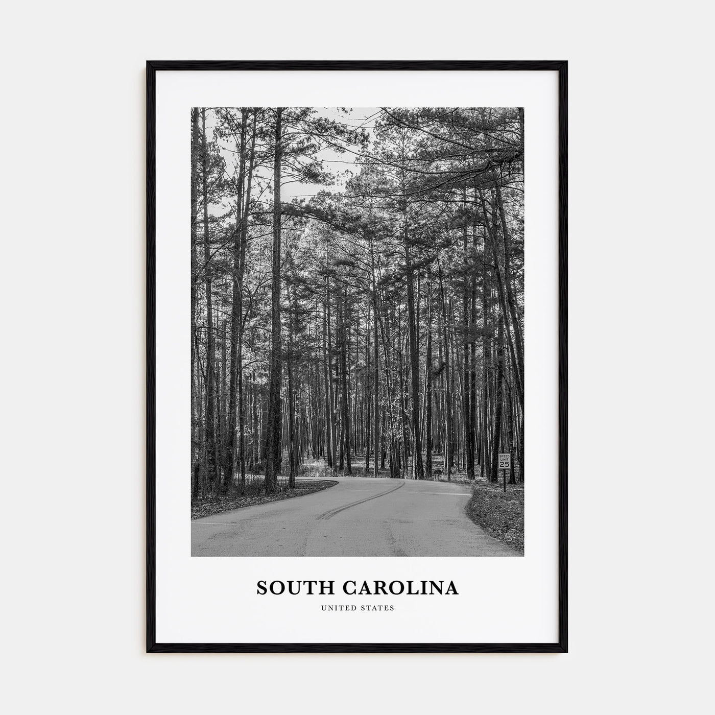 South Carolina Portrait B&W Poster