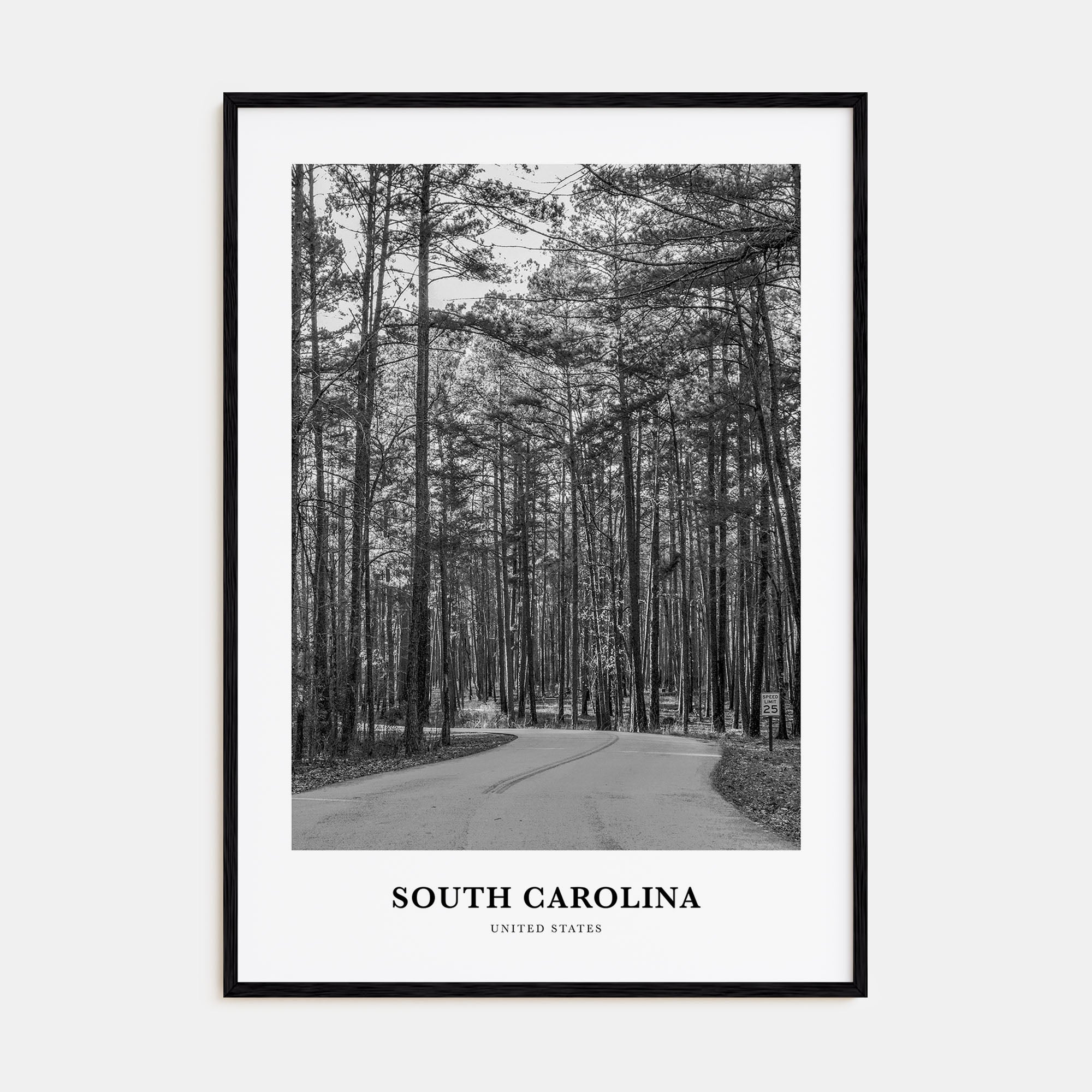 South Carolina Portrait B&W Poster