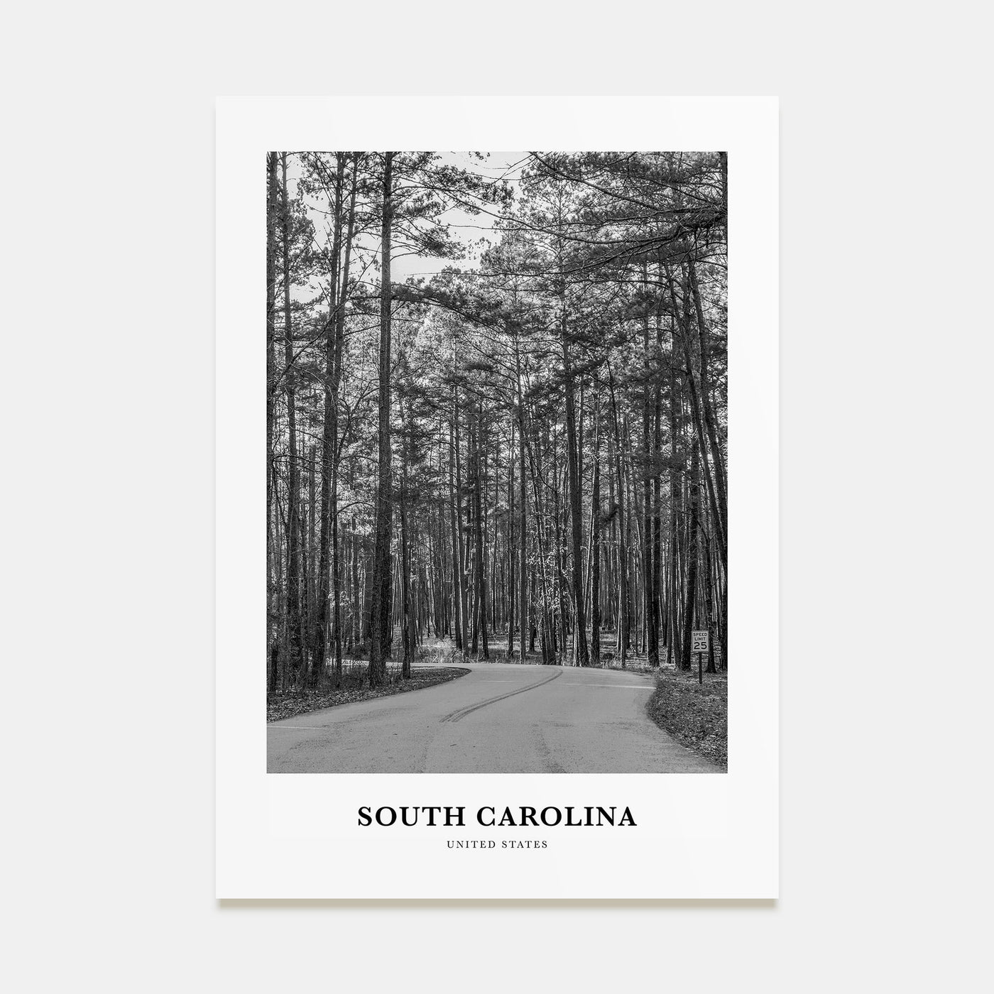 South Carolina Portrait B&W Poster