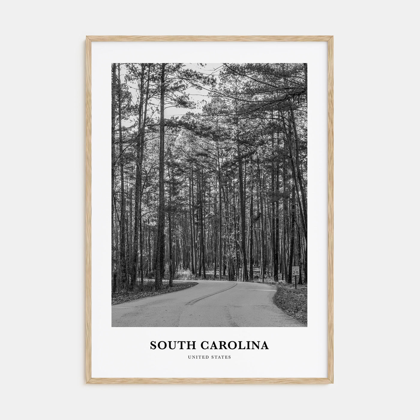 South Carolina Portrait B&W Poster
