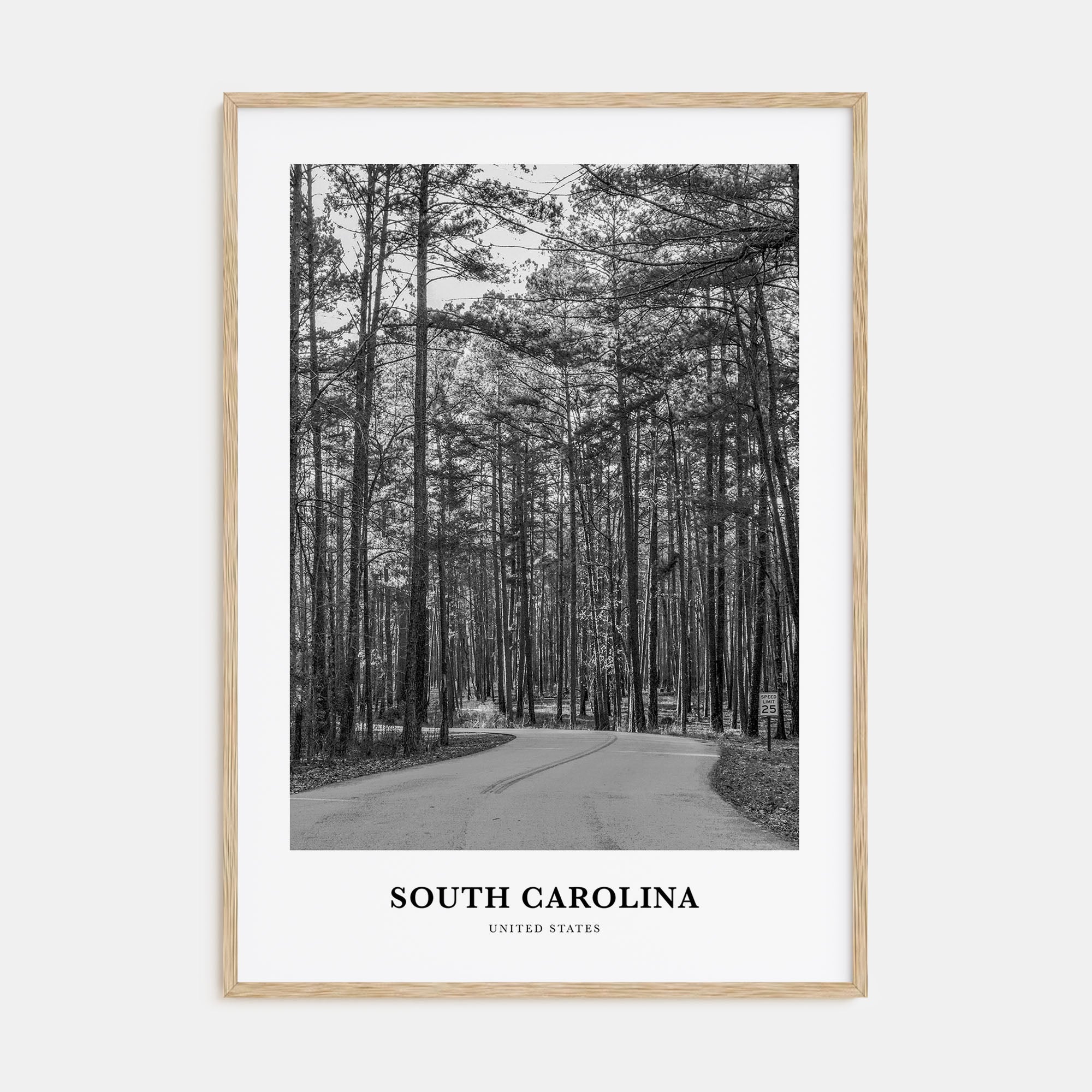 South Carolina Portrait B&W Poster