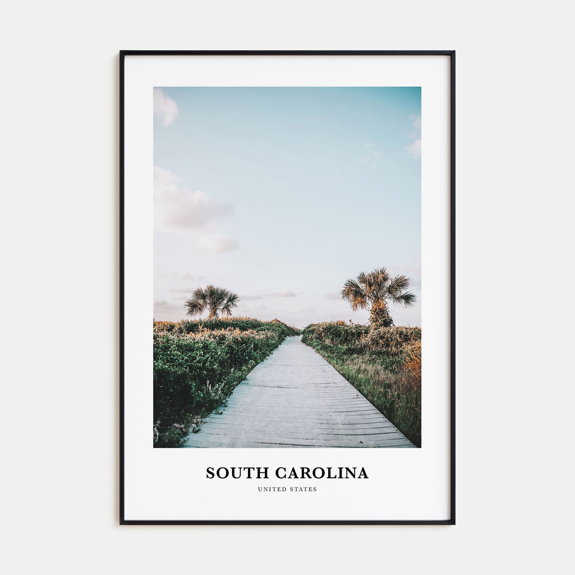 South Carolina Portrait Color No 1 Poster