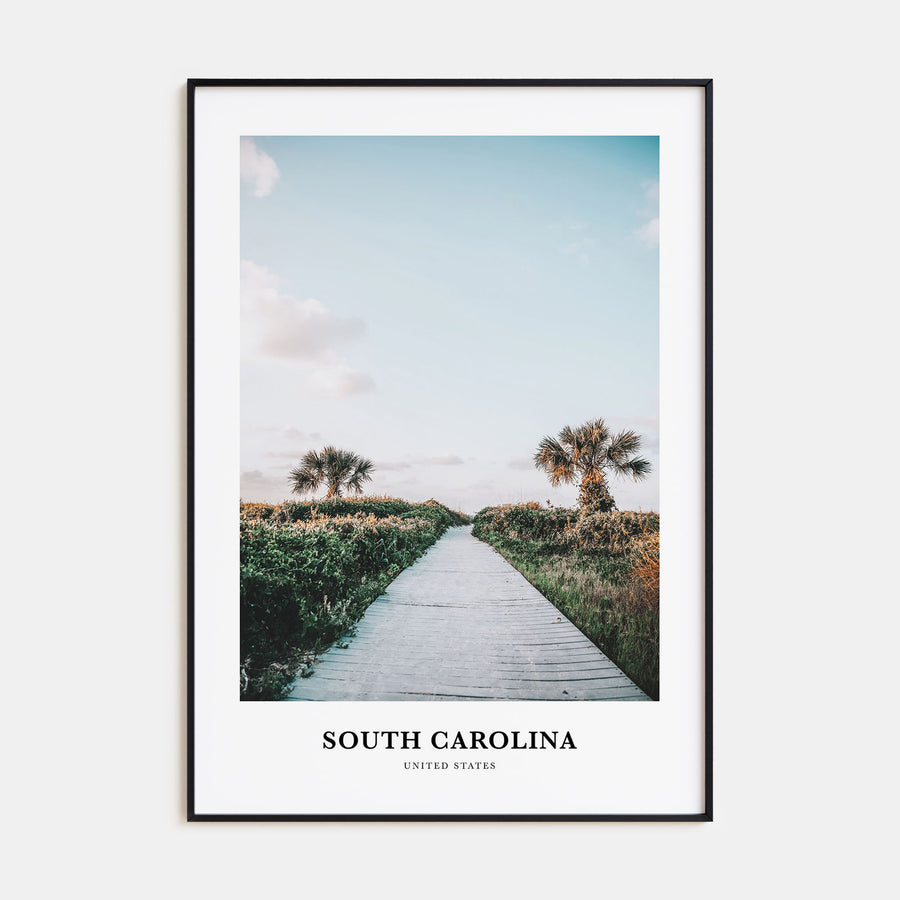 South Carolina Portrait Color No 1 Poster