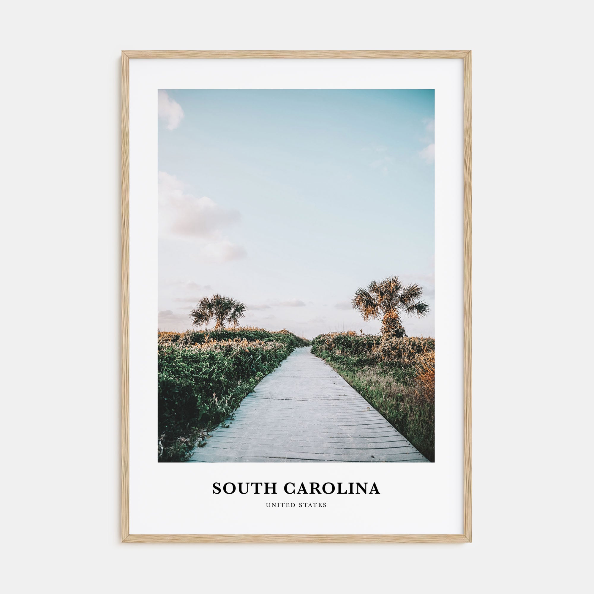 South Carolina Portrait Color No 1 Poster