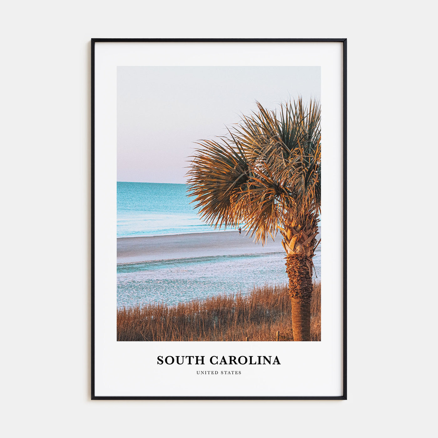 South Carolina Portrait Color No 2 Poster