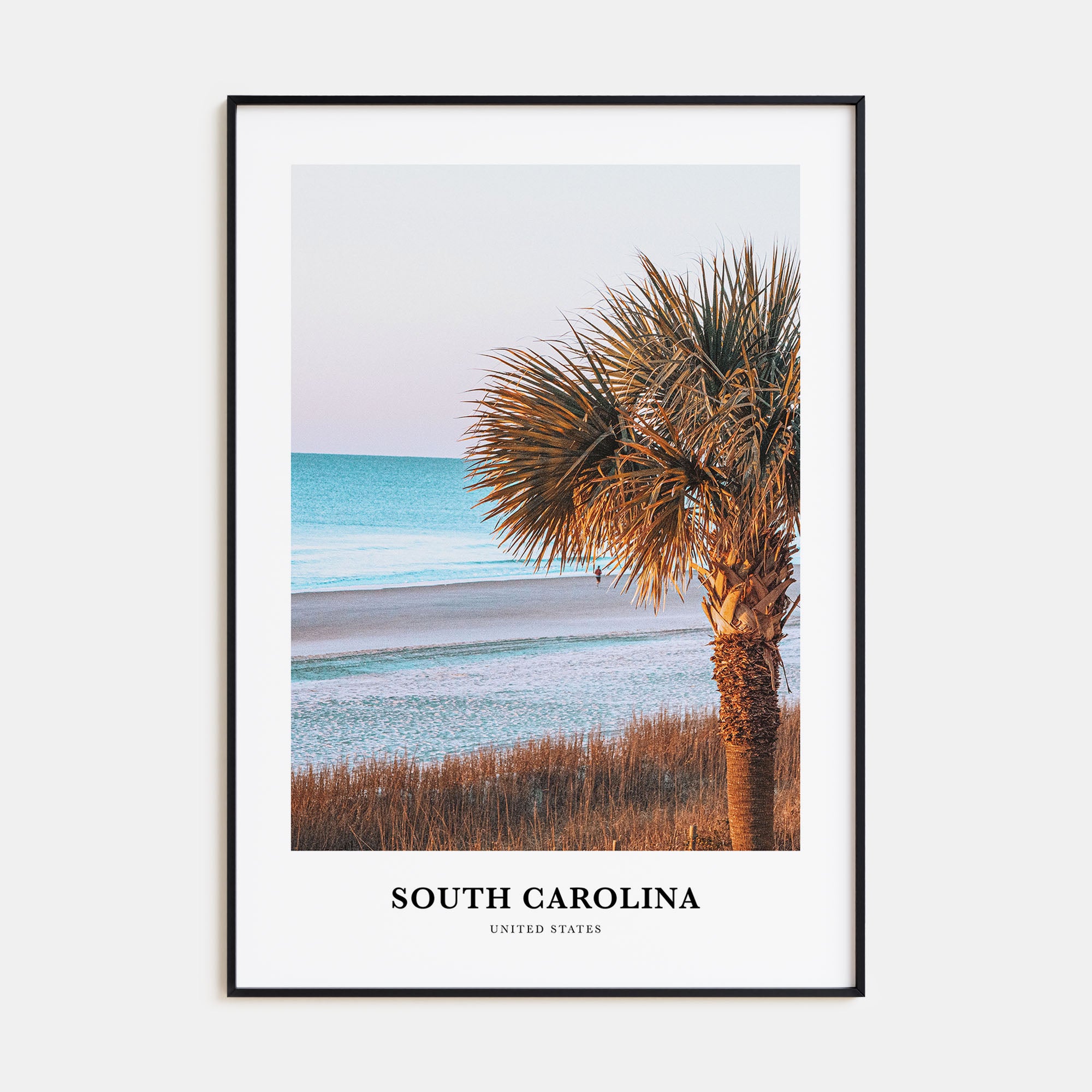 South Carolina Portrait Color No 2 Poster