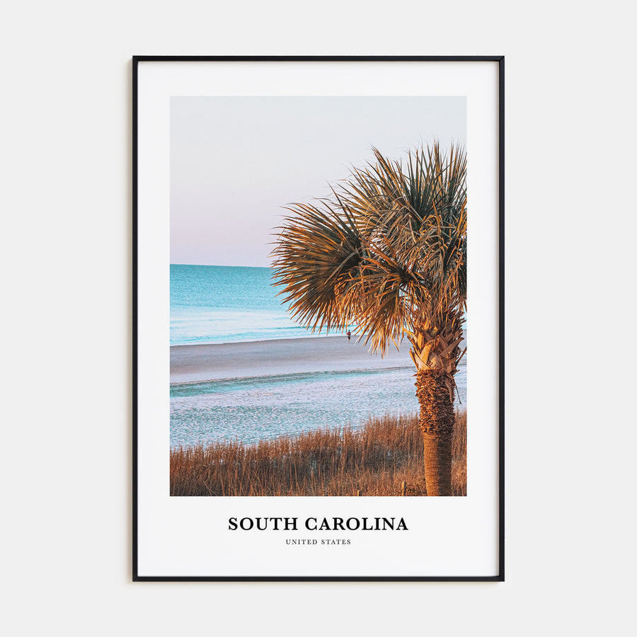 South Carolina Portrait Color No 2 Poster
