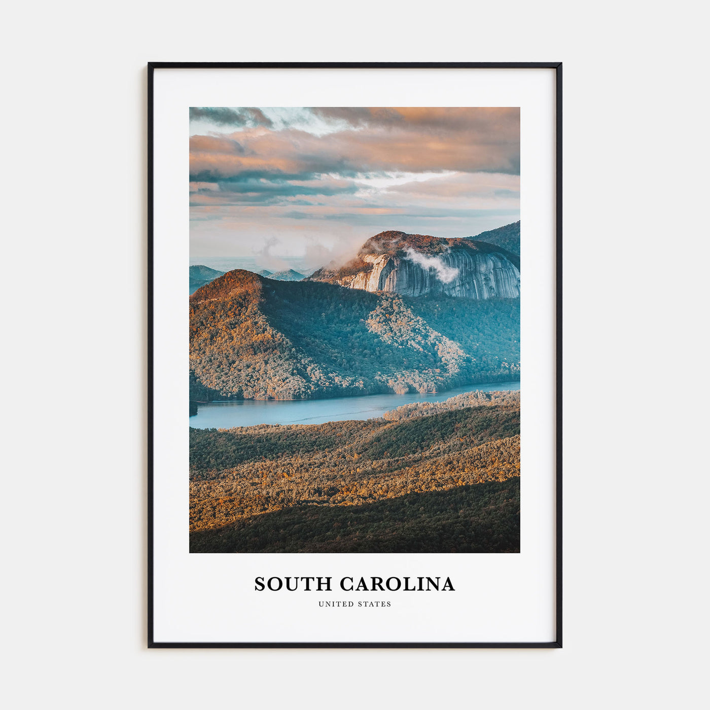 South Carolina Portrait Color No 3 Poster