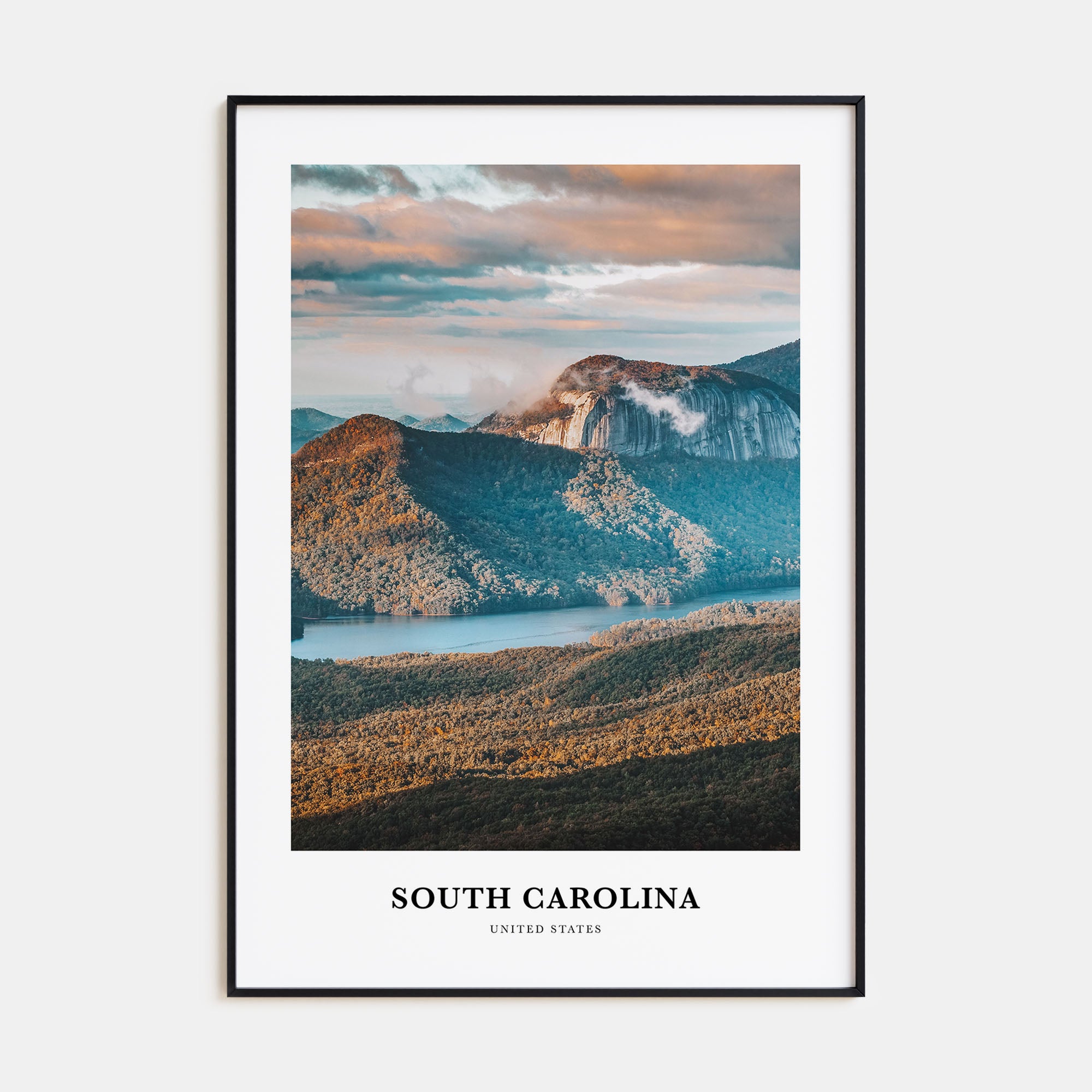 South Carolina Portrait Color No 3 Poster