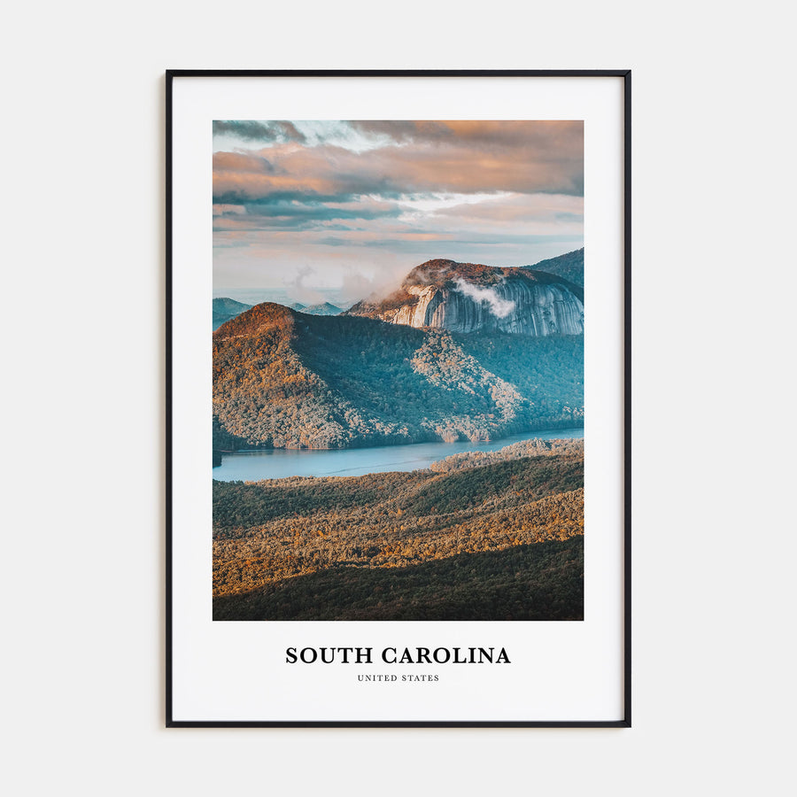 South Carolina Portrait Color No 3 Poster