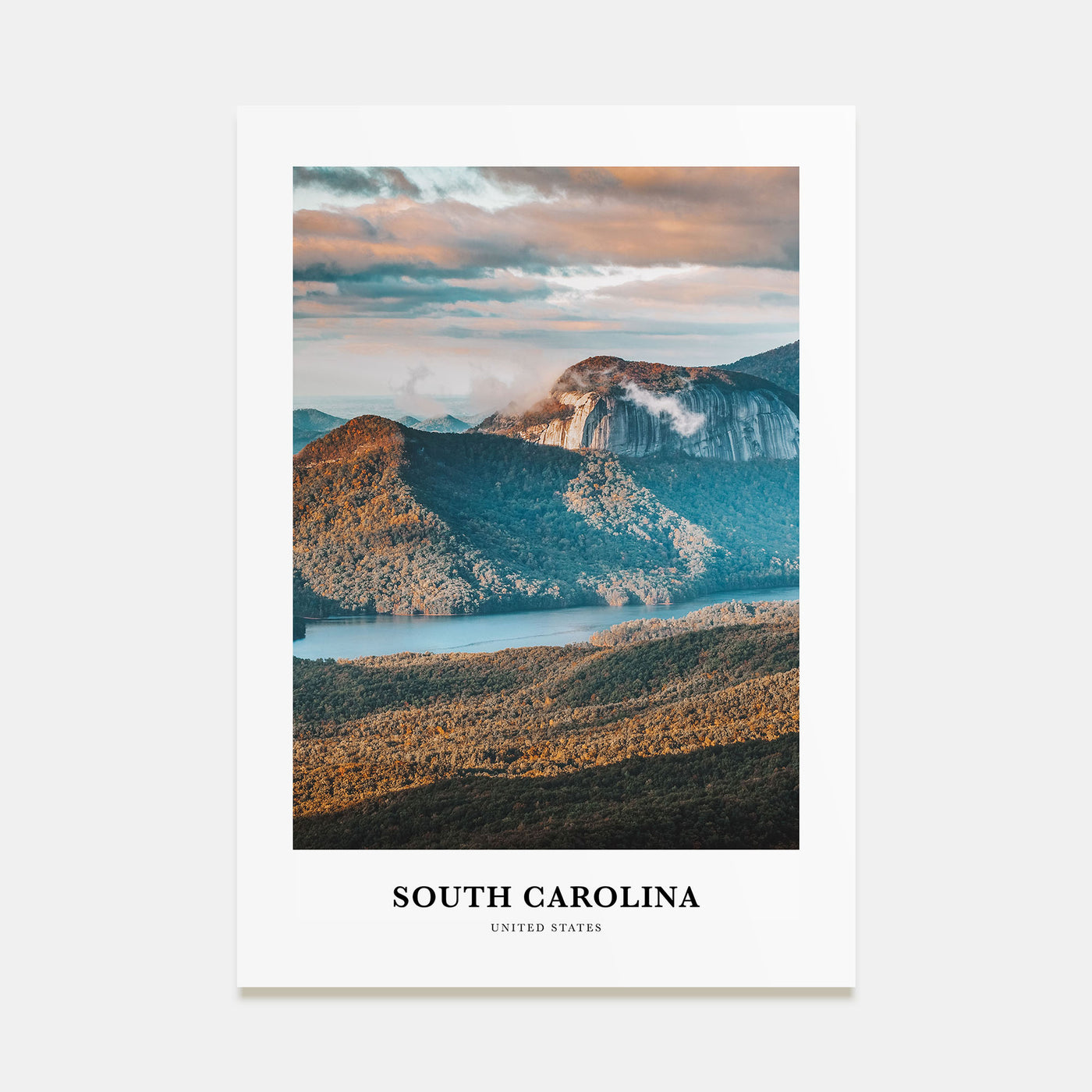 South Carolina Portrait Color No 3 Poster