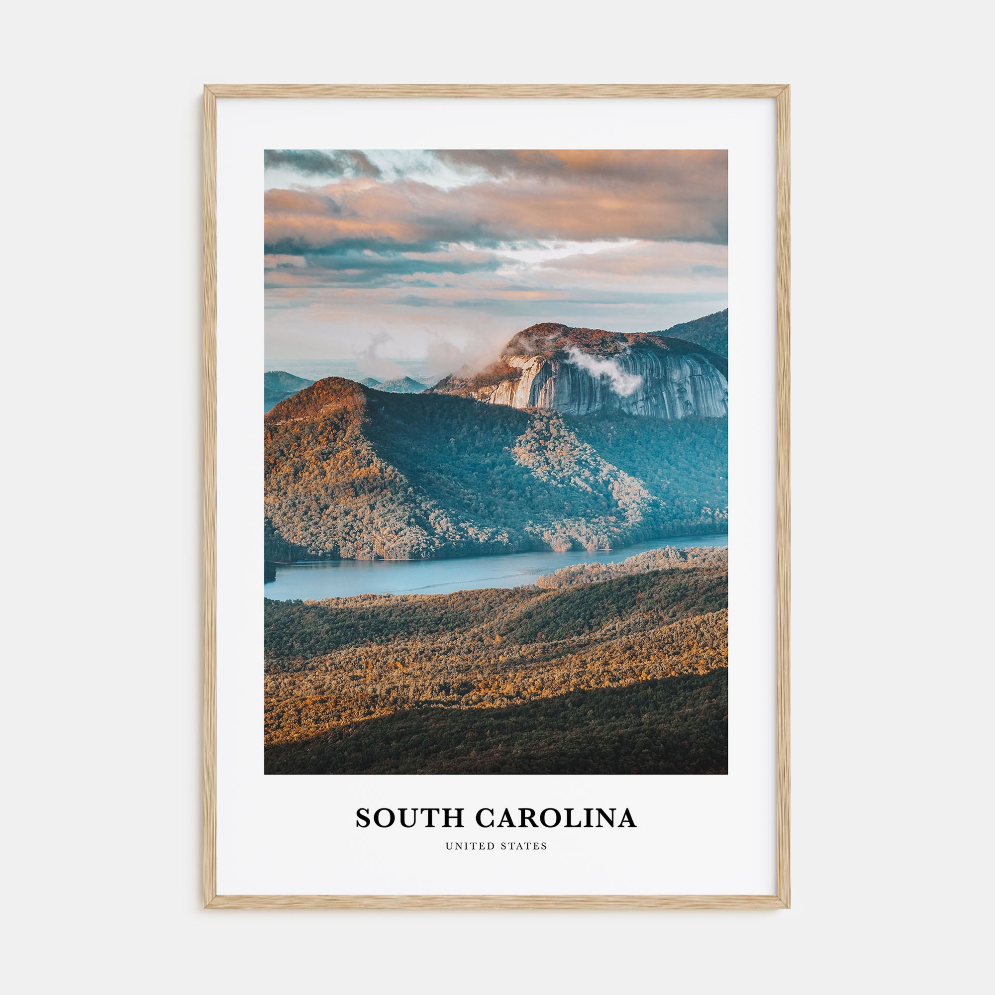 South Carolina Portrait Color No 3 Poster