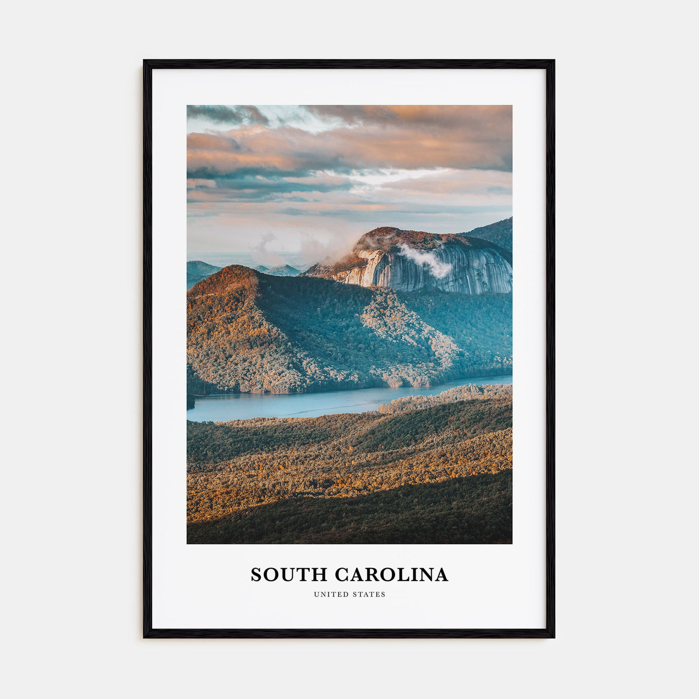 South Carolina Portrait Color No 3 Poster