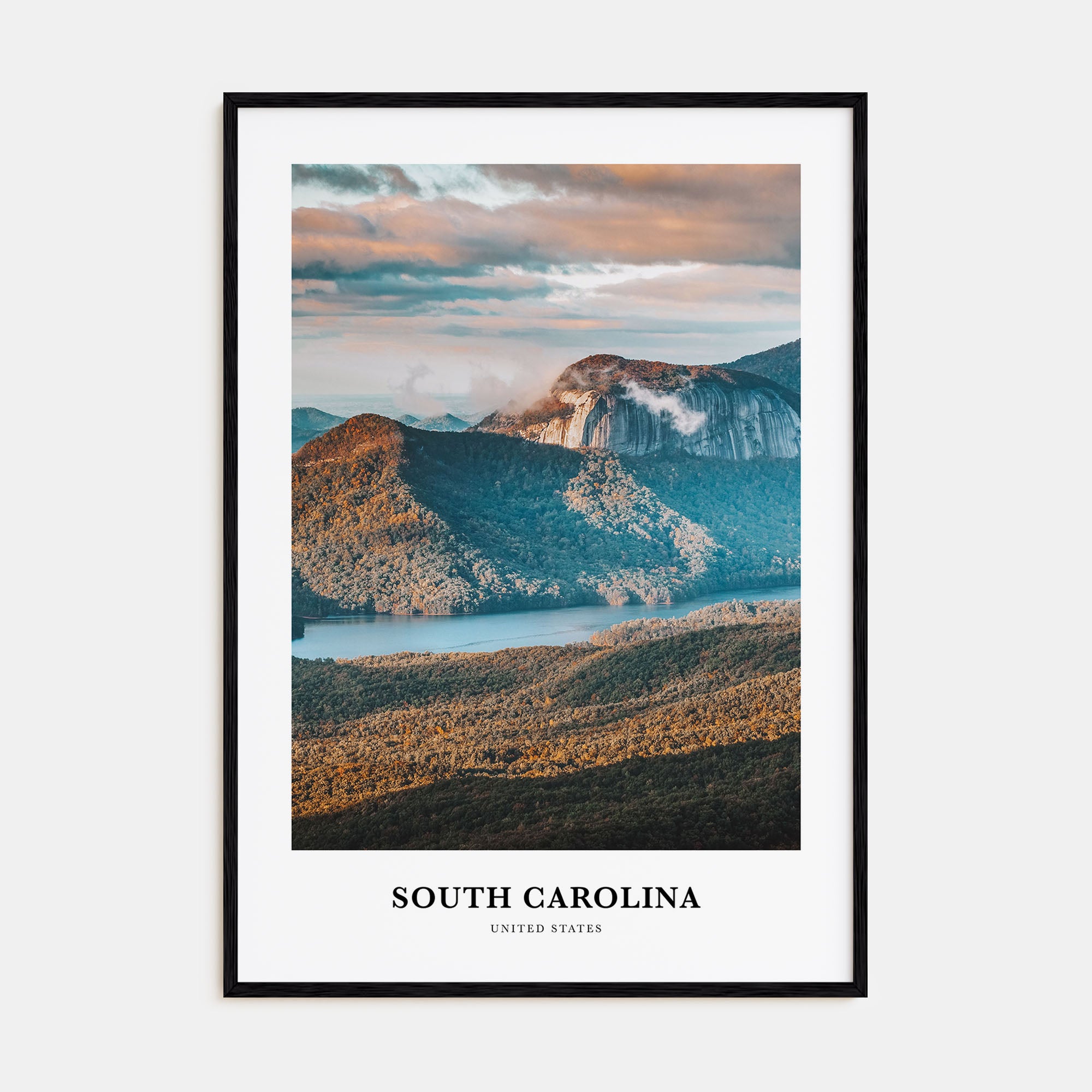 South Carolina Portrait Color No 3 Poster