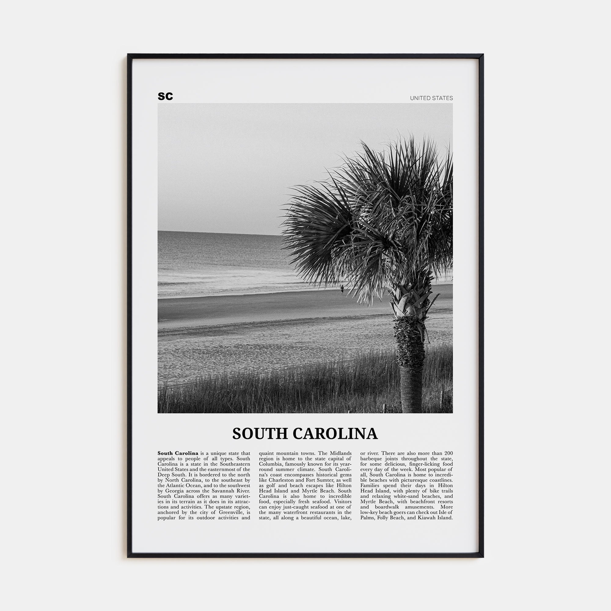 South Carolina Travel B&W No 1 Poster