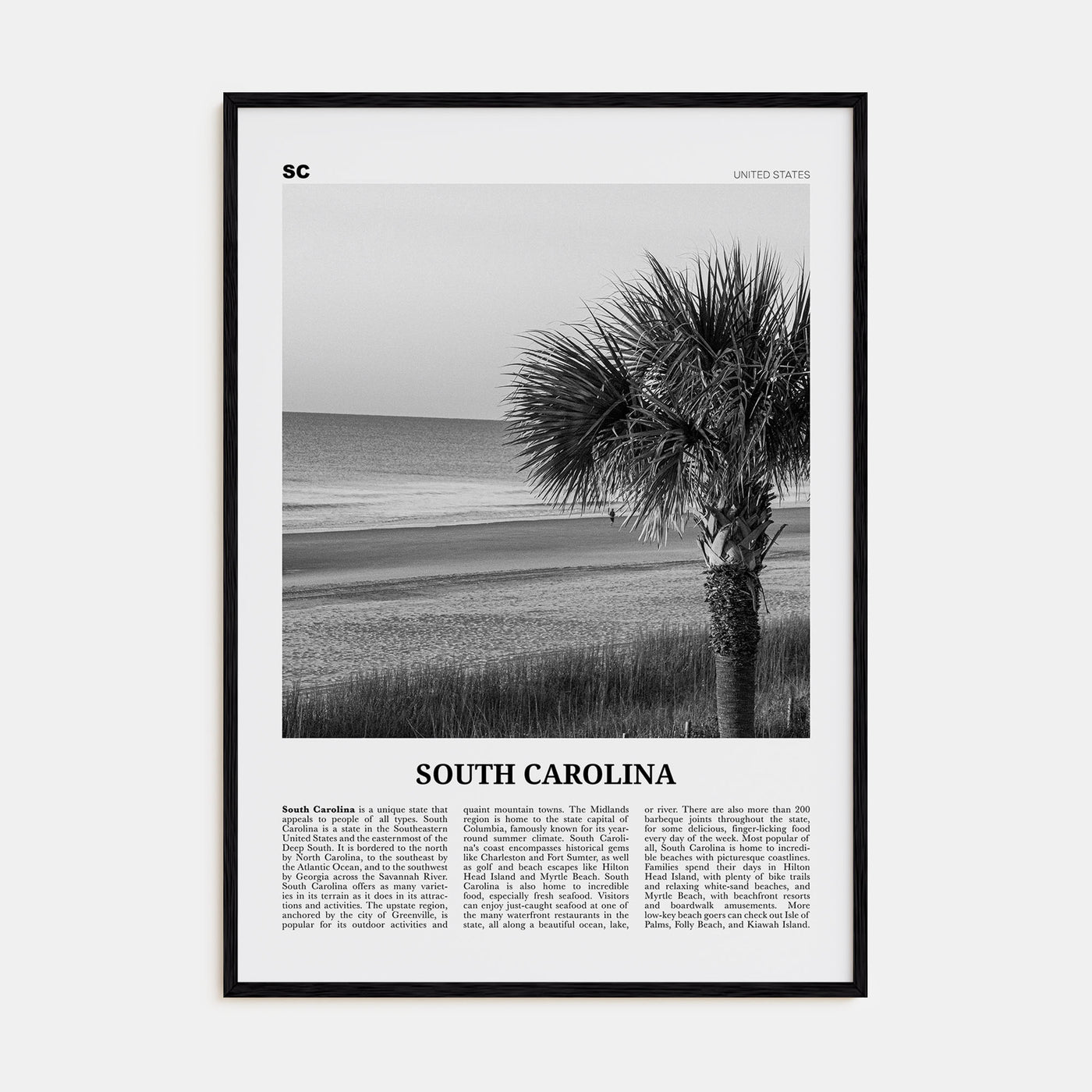 South Carolina Travel B&W No 1 Poster