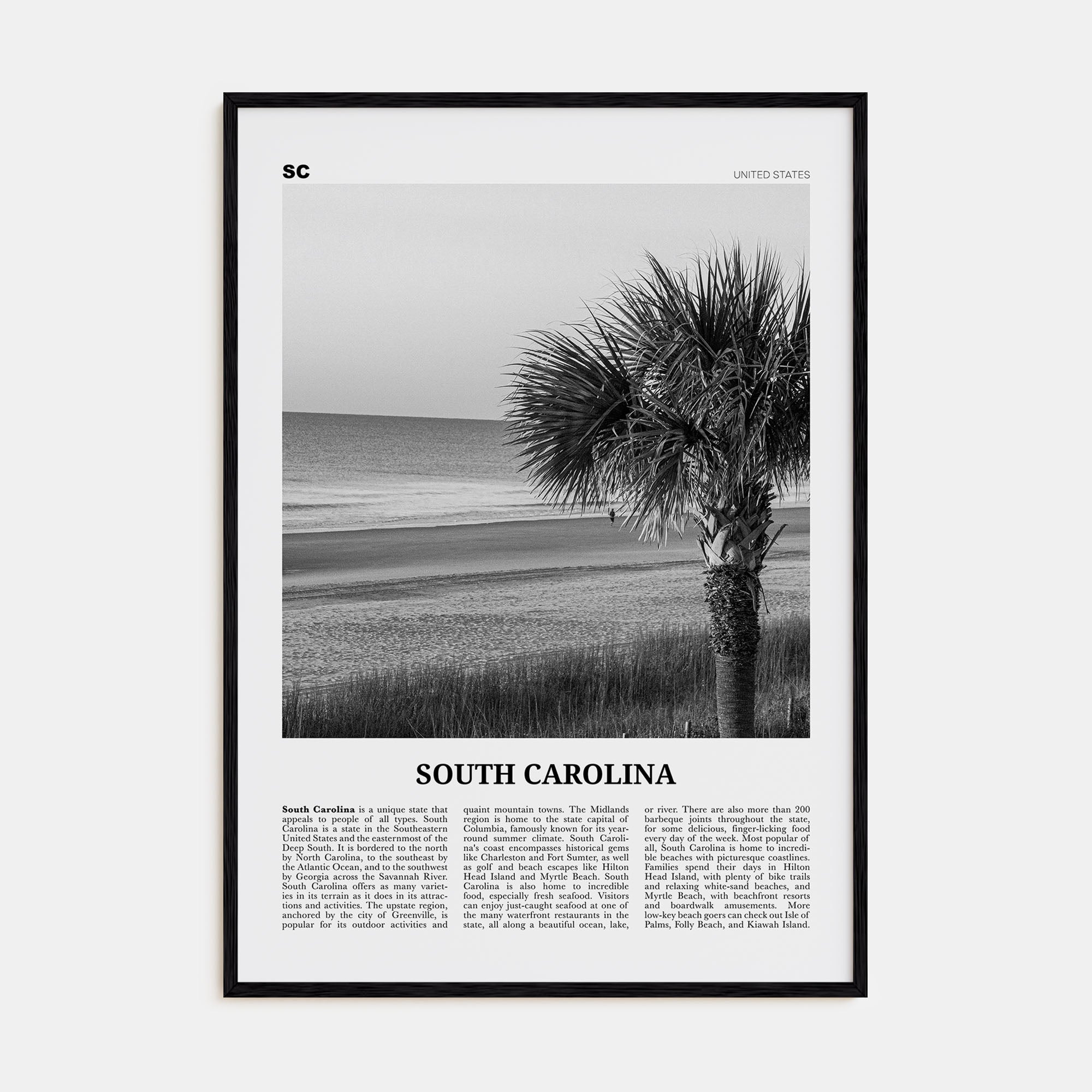 South Carolina Travel B&W No 1 Poster