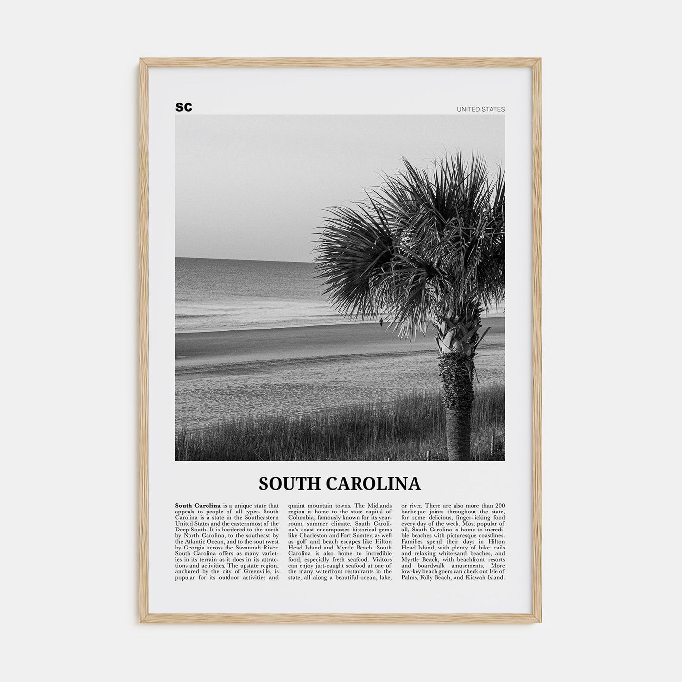 South Carolina Travel B&W No 1 Poster