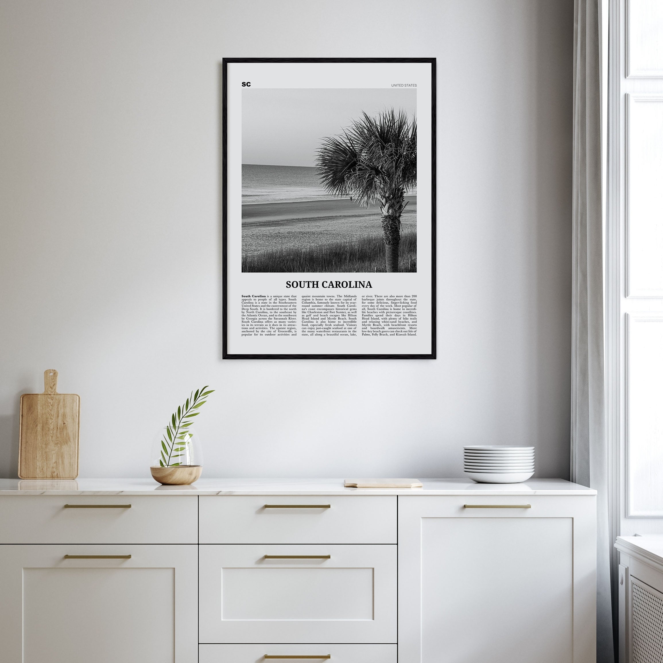 South Carolina Travel B&W No 1 Poster