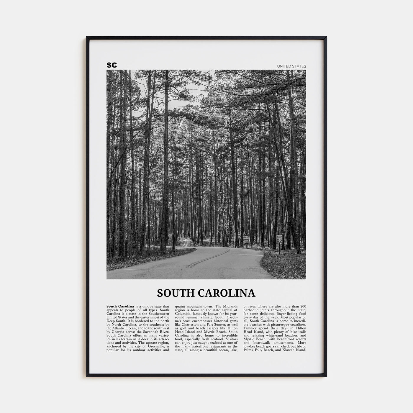 South Carolina Travel B&W No 2 Poster