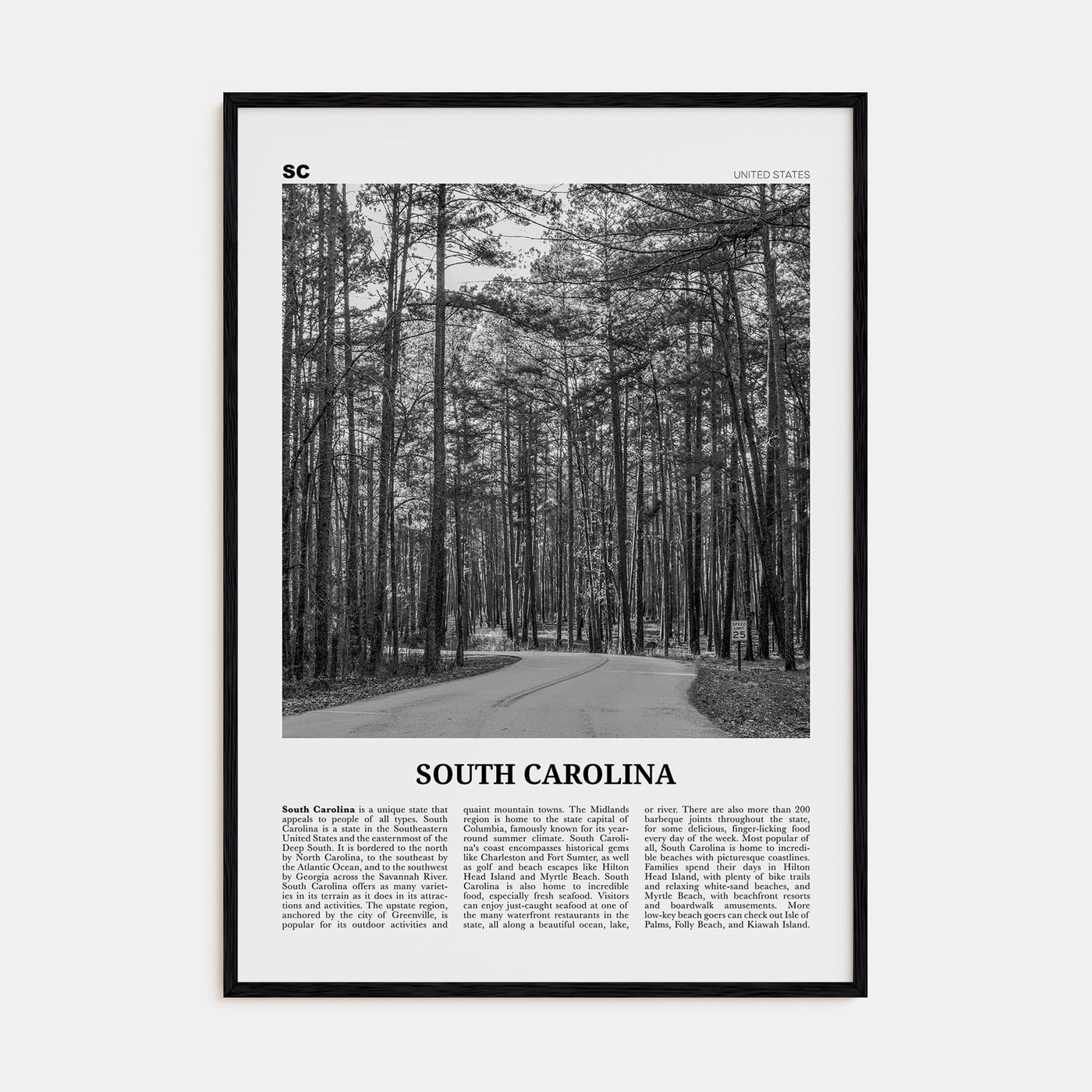 South Carolina Travel B&W No 2 Poster