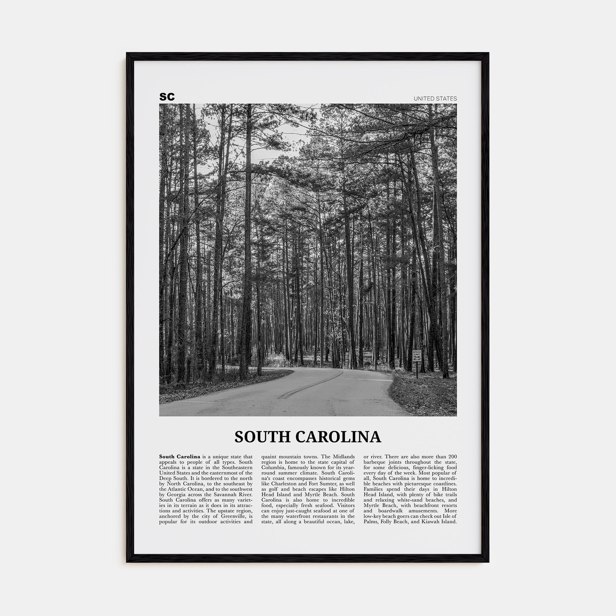 South Carolina Travel B&W No 2 Poster