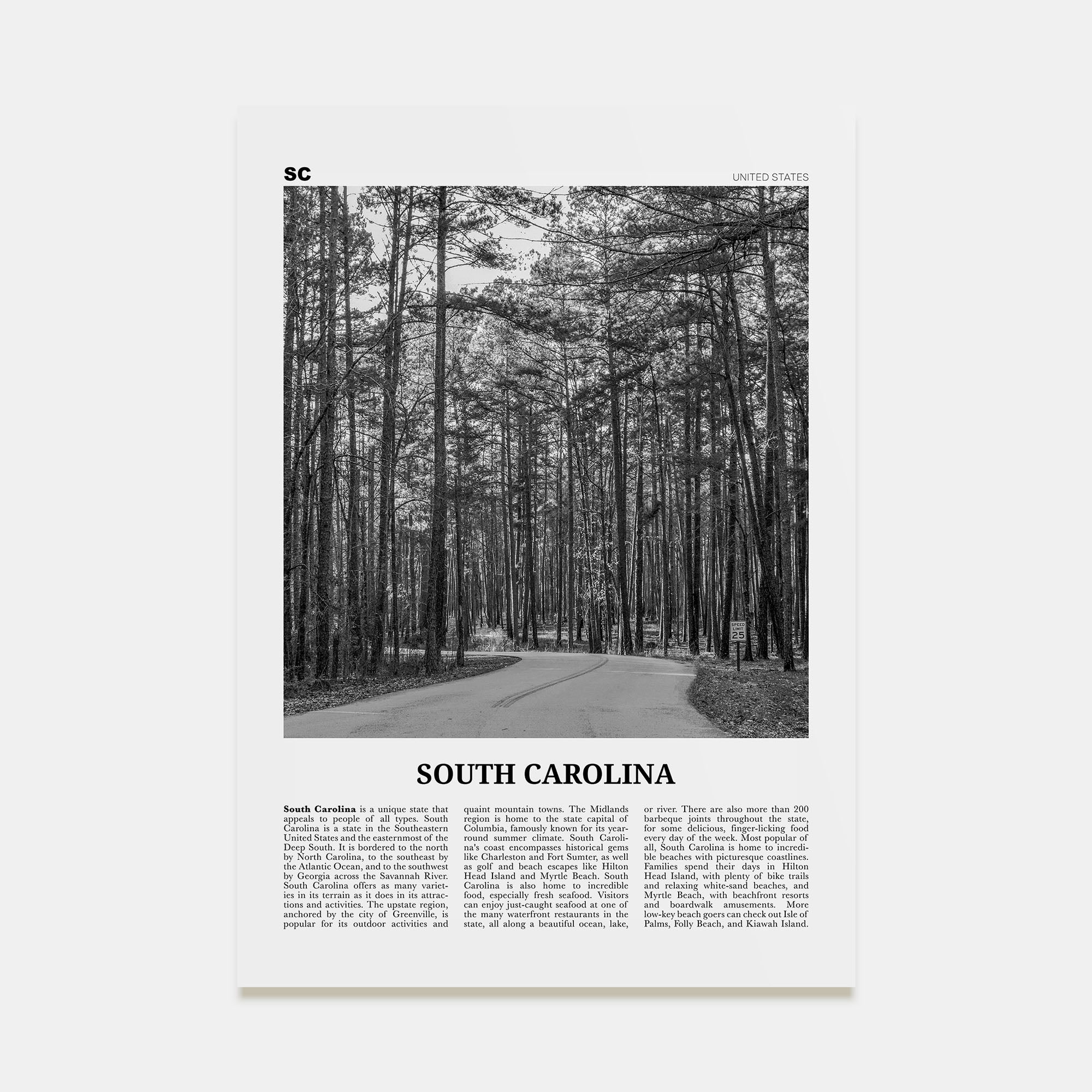 South Carolina Travel B&W No 2 Poster