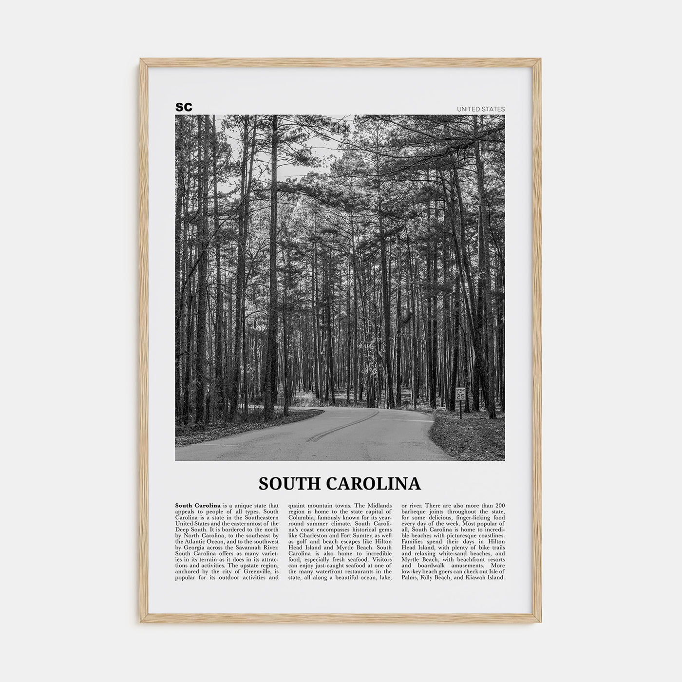 South Carolina Travel B&W No 2 Poster