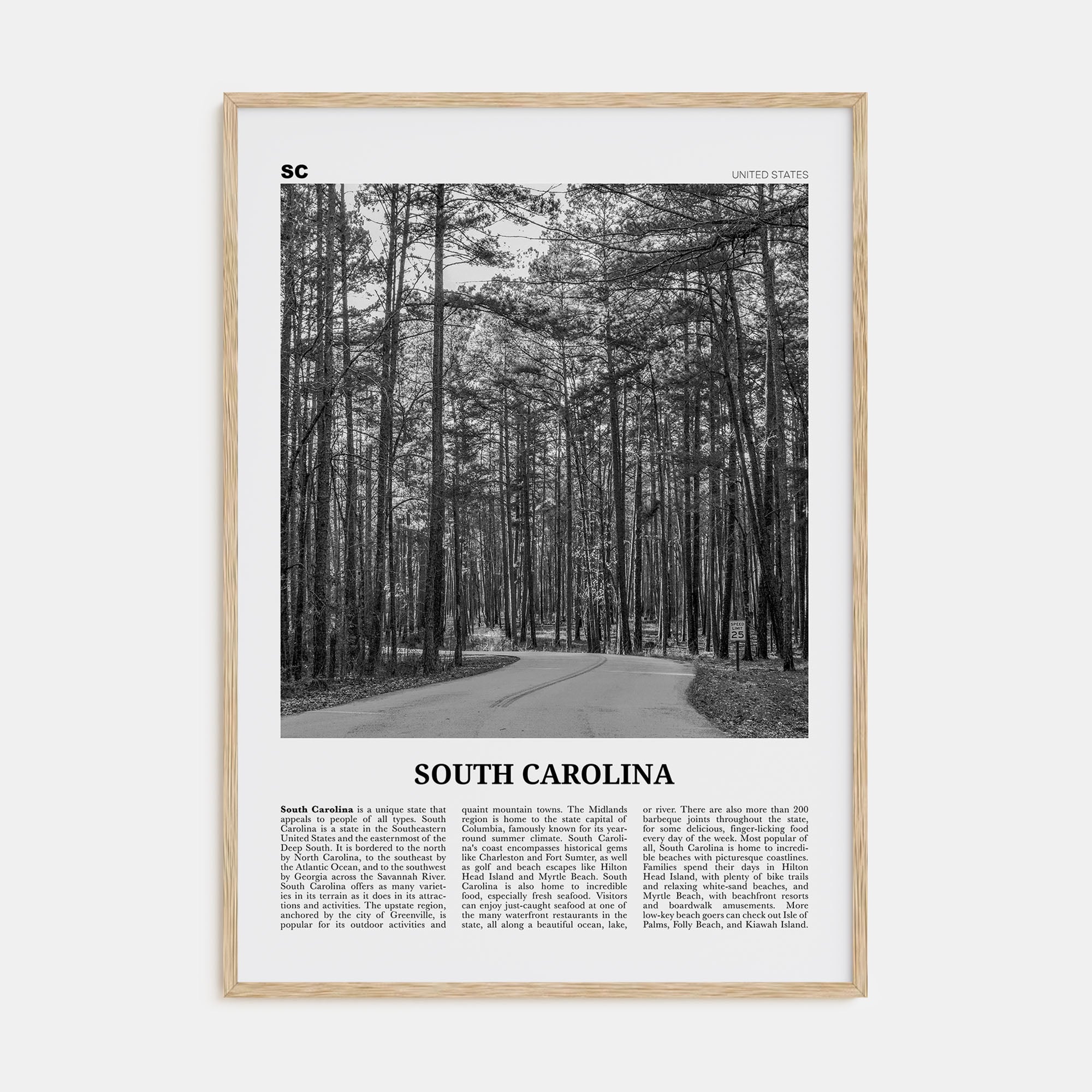 South Carolina Travel B&W No 2 Poster