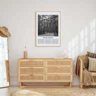 South Carolina Travel B&W No 2 Poster