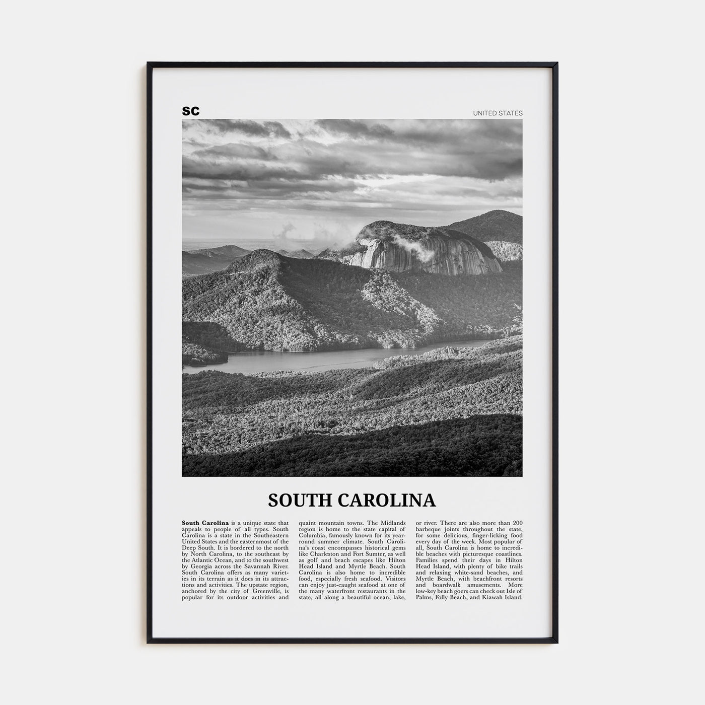 South Carolina Travel B&W No 3 Poster