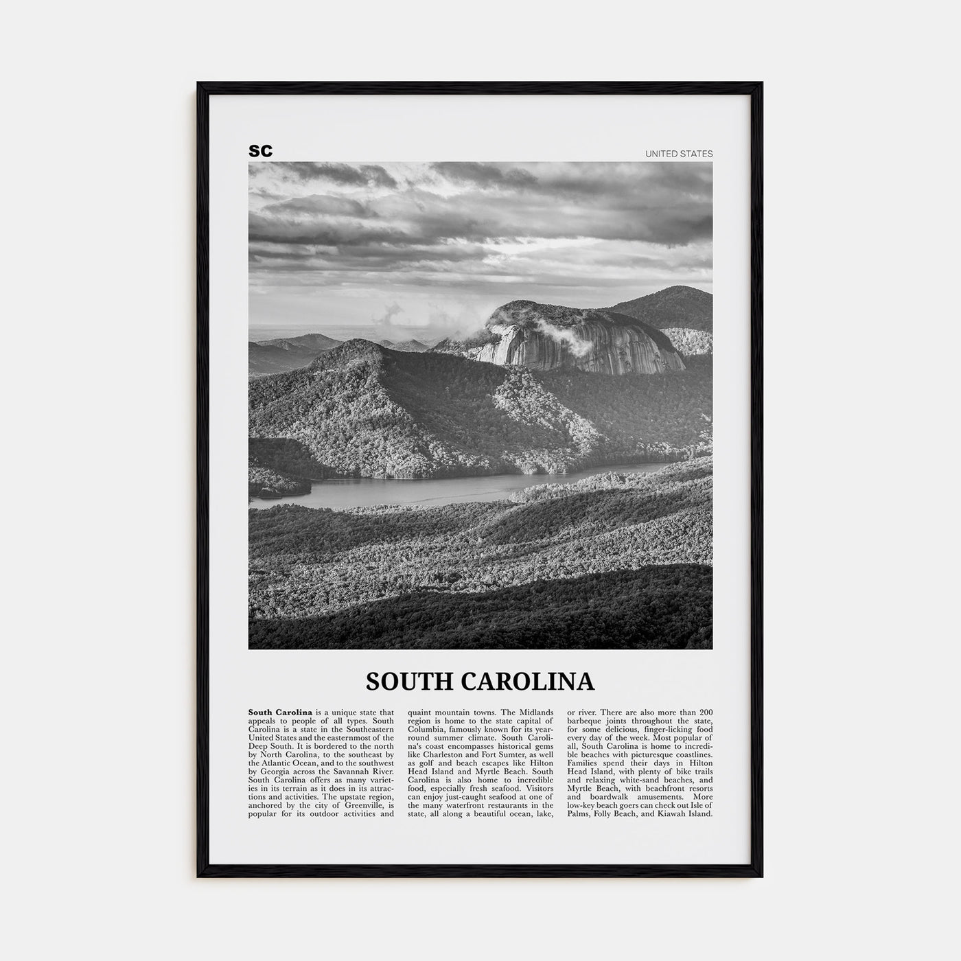 South Carolina Travel B&W No 3 Poster