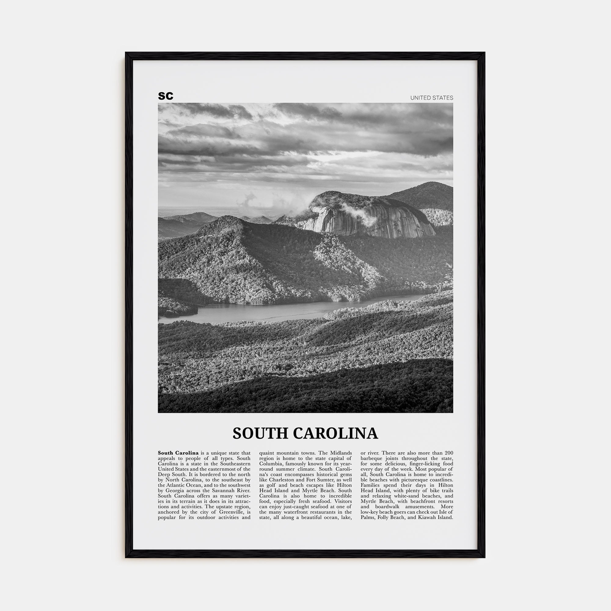 South Carolina Travel B&W No 3 Poster