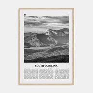 South Carolina Travel B&W No 3 Poster