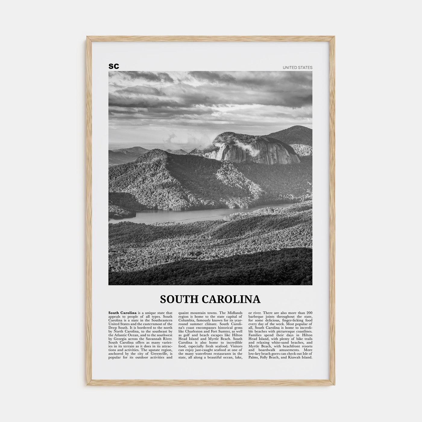 South Carolina Travel B&W No 3 Poster