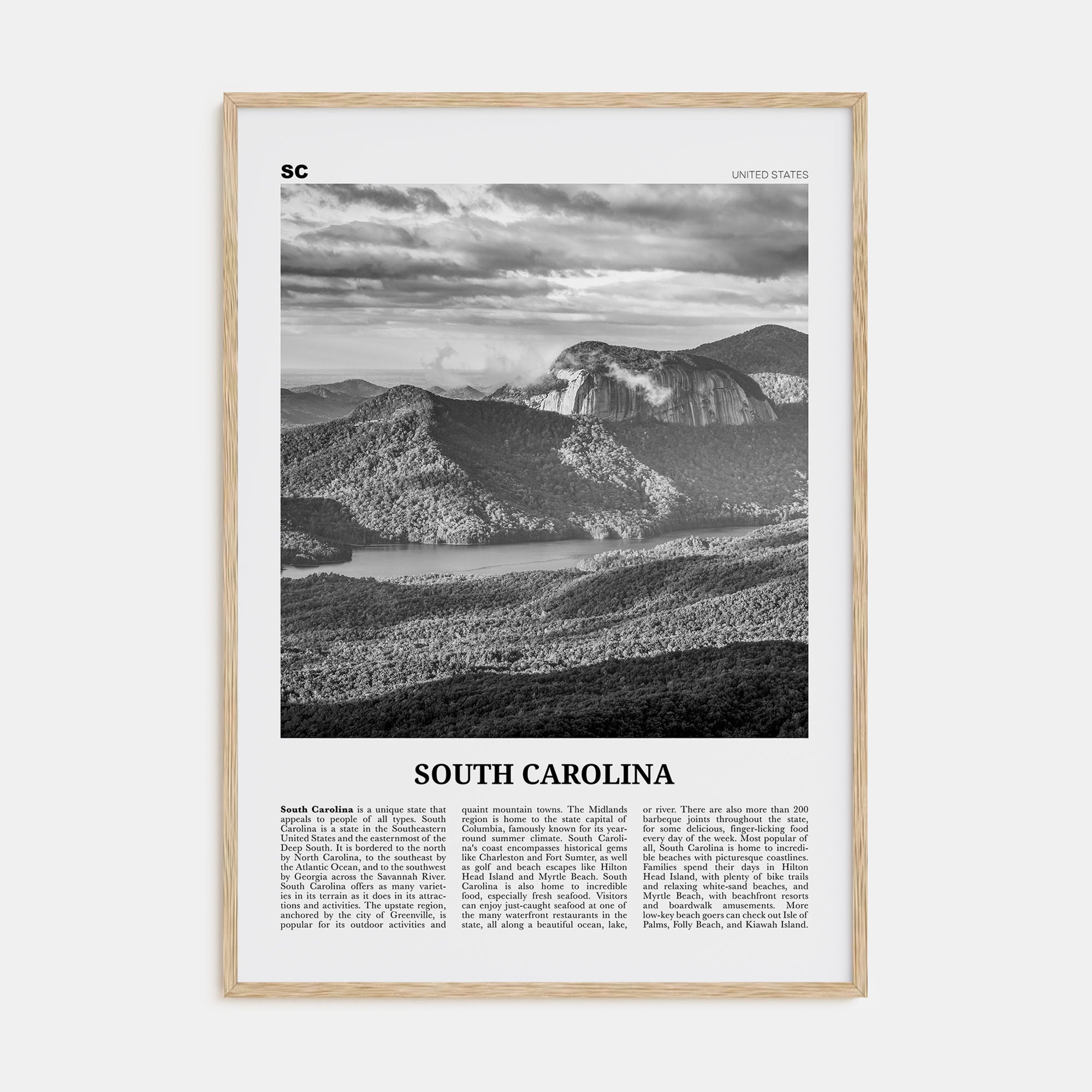 South Carolina Travel B&W No 3 Poster
