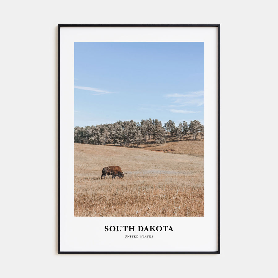 South Dakota Portrait Color Poster